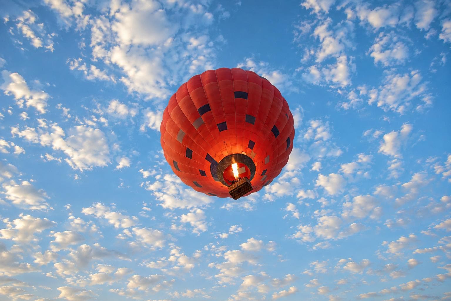Comfort Flight